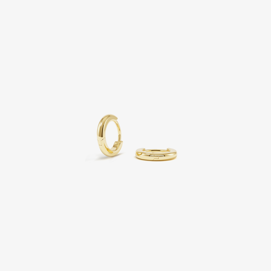 a pair of mini gold hoops